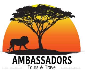 THE TOUR AMBASSADORS Logo